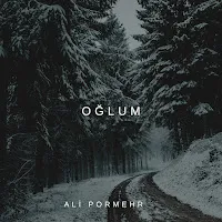 Ali Pormehr